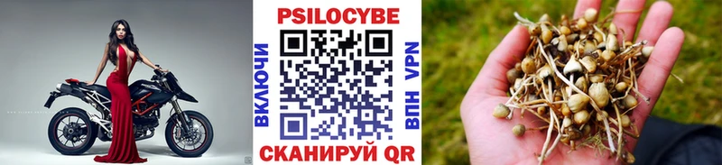 Псилоцибиновые грибы Magic Shrooms закладка Зеленоградск